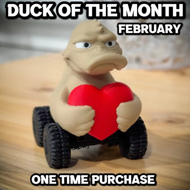 Duck of the Month - February