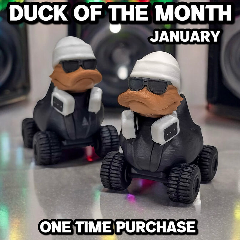 Duck of the Month - January