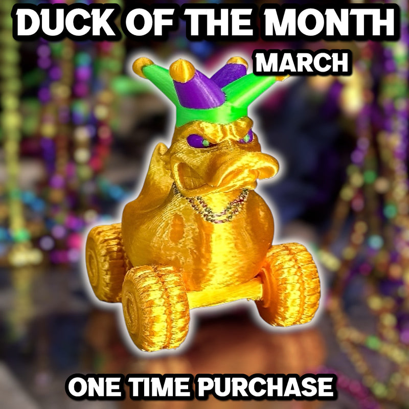 Duck of the Month - March